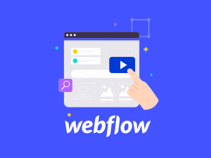 Website Webflow Development Service